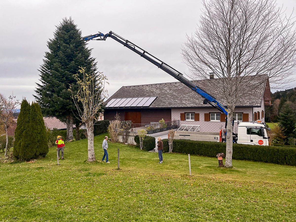 Bauunternehmen Moosbrugger Gmbh