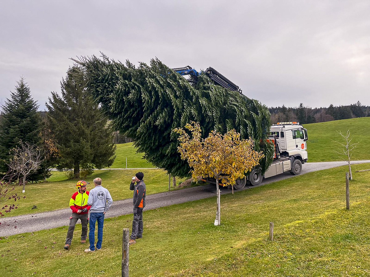 Bauunternehmen Moosbrugger Gmbh